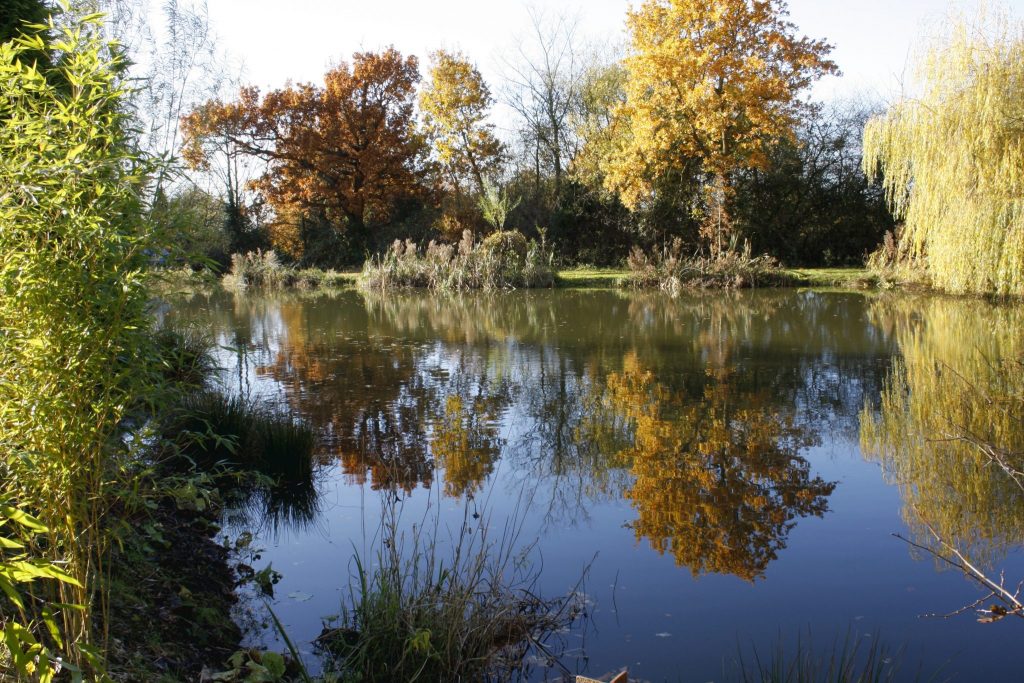 Autumn morning at Lakeside