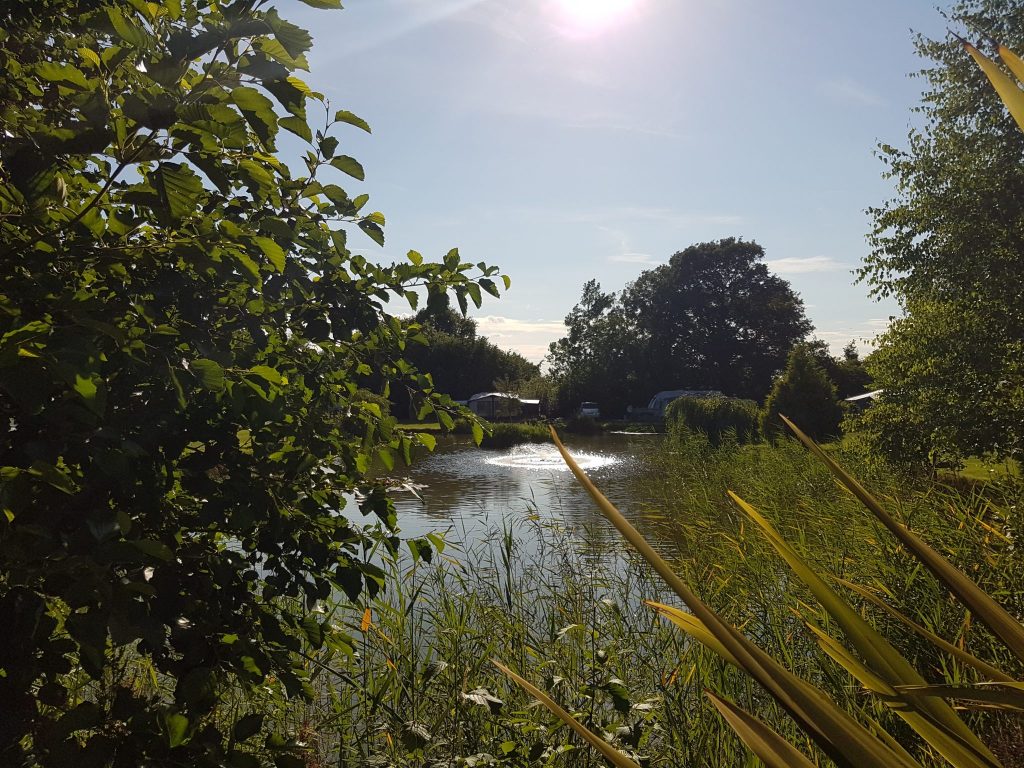 Tranquility at Lakeside