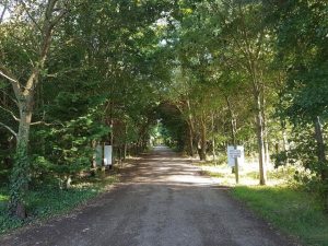 Arriving at secluded Lakeside Caravan Park